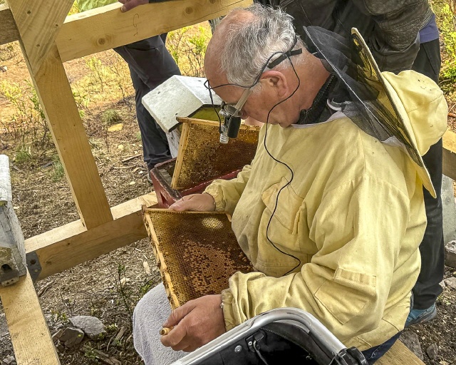 Neubau der Hütte und Bilder von 2025