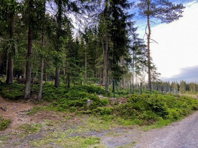 Belegstellenfest am 08.06.2024