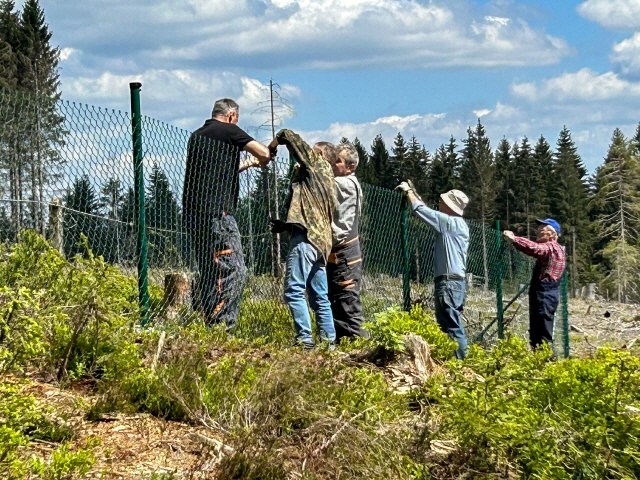 Arbeitseinsatz vom 10.05.2024